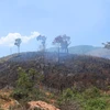 Ảnh chỉ có tính minh họa. (Nguồn: Vietnam+)