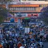Chợ đêm Đà Lạt. (Nguồn: baolamdong.vn)