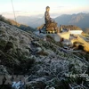 Đỉnh Fansipan, thị xã Sa Pa, tỉnh Lào Cai xuất hiện sương muối phủ trắng núi rừng ngày 18/1. Ảnh minh họa. (Ảnh: TTXVN phát) 