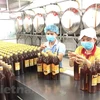 Sản xuất mật ong tại công ty cổ phần đầu tư tập đoàn Xuân Nguyên. (Ảnh: Mỹ Phương/Vietnam+)