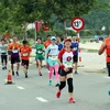 Các vận động viên tranh tài trên đường chạy Marathon Quốc tế Đà Nẵng 2019. Ảnh minh họa. (Ảnh: Trần Lê Lâm/TTXVN)