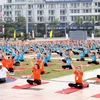 Khoảng 3.000 người tham gia Ngày Quốc tế Yoga lần thứ 8 tại Quảng Ninh