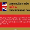 [Infographics] Anh chuẩn bị tiêm mũi 4 vaccine phòng COVID-19