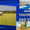 [Mega Story] Nâng tầm thương hiệu gạo Việt Nam trên thế giới