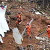Mảnh vỡ máy bay Boeing 737 số hiệu 5735 của hãng hàng không China Eastern Airlines. (Ảnh: THX/TTXVN)