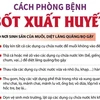 [Infographics] Những phương pháp phòng bệnh sốt xuất huyết