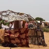 Hàng chục nghìn người dân Somalia phải sơ tán vì hạn hán nghiêm trọng. (Nguồn: nrc.no) 