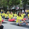Tiết mục biểu diễn Yoga được đông đảo người dân Thành phố Hồ Chí Minh hưởng ứng. (Ảnh: Thu Hương/TTXVN)
