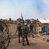 Lực lượng gìn giữ hòa bình tại CHDC Congo. (Nguồn: AFP)