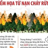 [Infographics] Hiểm họa từ nạn cháy rừng trên khắp thế giới