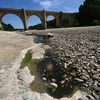 Lòng sông khô cạn do hạn hán tại Saint-Anastasie, miền nam nước Pháp. (Nguồn: AFP/TTXVN)