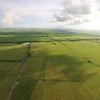 Đồng bằng sông Cửu Long hướng tới nền kinh tế nông nghiệp bền vững