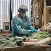 Nhân viên y tế điều trị cho bệnh nhân COVID-19 tại trung tâm y tế ở Apple Valley, bang California (Mỹ). (Ảnh: AFP/TTXVN) 