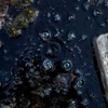 Bong bóng chứa khí methane trong một khu vực đầm lầy. Ảnh minh họa. (Nguồn: Reuters)