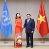 Thủ tướng Phạm Minh Chính tiếp bà Pauline Tamesis, Điều phối viên thường trú của Liên hợp quốc tại Việt Nam. (Ảnh: Dương Giang/TTXVN) 