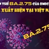 [Infographics] Biến thể BA.2.75 của Omicron đã xuất hiện tại Việt Nam