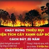 Cháy rừng thiêu rụi diện tích cây xanh gấp đôi cách đây 20 năm