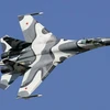 Máy bay chiến đấu Su-27.(Nguồn: Reuters.) 