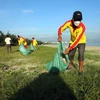 Lực lượng cứu hộ bãi biển tham gia thu dọn rác thải nhựa tại các bãi biển ở Đà Nẵng. (Ảnh: Trần Lê Lâm/TTXVN)