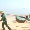 Ngư dân xã Quảng Xuân (huyện Quảng Trạch, Quảng Bình) trúng mùa cá cơm, thu lợi lớn. (Ảnh: TTXVN phát) 