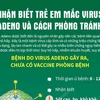 [Infographics] Nhận biết trẻ em mắc virus Adeno và cách phòng tránh