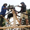 Người dân làng Bờ Reo chung tay dựng lại nhà bị sập cho người dân sau bão. (Ảnh: Phạm Cường/TTXVN) 