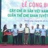 Hội Bảo vệ thiên nhiên và Môi trường Việt Nam công bố và trao quyết định công nhận 1.324 cây chè Shan tuyết của tỉnh Hà Giang là Cây Di sản Việt Nam. (Ảnh: Nam Thái/TTXVN)