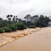Mưa lớn khiến mực nước các sông suối lên cao, chia cắt nhiều địa phương thuộc huyện Con Cuông. (Ảnh: TTXVN phát)