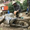 Hình ảnh tỉnh Nghệ An nỗ lực khắc phục hậu quả lũ quét ở Kỳ Sơn