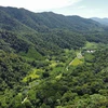 Khu vực rừng tái sinh ở xã Sơn Kim 2, huyện Hương Sơn đã được giao cho doanh nghiệp và hộ dân quản lý, bảo vệ. (Ảnh: Vũ Sinh/TTXVN)