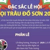 [Infographics] Đặc sắc lễ hội chọi trâu truyền thống Đồ Sơn 2022