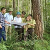  Lực lượng Kiểm lâm phối hợp với Quỹ bảo vệ và phát triển rừng tỉnh Yên Bái kiểm tra, phân loại và xác định mốc giới 3 loại rừng tại Khu bảo tồn Nà Hẩu, huyện Văn Yên, Yên Bái. (Ảnh: Tiến Khánh/TTXVN)