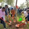 Trồng cây hữu nghị tại Công viên Hòa Bình nhân 50 năm Hiệp định Paris