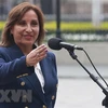 Tổng thống Peru Dina Boluarte. (Ảnh: AFP/TTXVN)