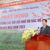 Chủ tịch Quốc hội Vương Đình Huệ phát biểu tại lễ phát động Tết trồng cây . (Ảnh: Doãn Tấn/TTXVN) 