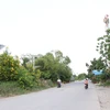 Một số đoạn dọc kênh Tham Lương đã hình thành đường bêtông khá rộng. (Ảnh: Tiến Lực/TTXVN)