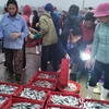 Từ 4 giờ sáng hàng ngày, cảnh mua bán ở chợ cá Nghi Thủy, thị xã Cửa Lò, Nghệ An đã nhộn nhịp. (Ảnh: Nguyễn Văn Nhật/TTXVN) 