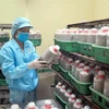 Công ty TNHH công nghệ sinh học Phú Gia ứng dụng công nghệ sinh học, nuôi trồng các loại nấm hữu cơ hàng đầu Việt Nam. (Ảnh: Trần Trang/TTXVN) 
