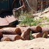 Hơn chục lóng gỗ lậu mới khai thác được tập kết tại mỏ khai thác cát, sỏi 87, thuộc xã Đăk Pxi, huyện Đăk Hà, tỉnh Kon Tum. (Ảnh: Cao Nguyên/TTXVN)