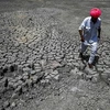 Lòng hồ khô cạn do hạn hán tại làng Bandai, huyện Pali (Ấn Độ), ngày 11/5/2022. (Ảnh: AFP/TTXVN) 