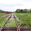 Đường tàu thuộc dự án đường sắt Yên Viên-Cái Lân đã lâu không hoạt động, cỏ mọc um tùm, nhiều chỗ bị hư hỏng. (Ảnh: Thanh Vân/TTXVN) 