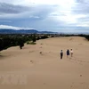 Đồi cát Nam Cương đẹp mơ màng trong chiều hoàng hôn. (Ảnh: Minh Hưng/TTXVN) 