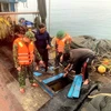 Đội tuần tra trên biển của Đồn biên phòng Đảo Trần kiểm tra tàu cá vi phạm. (Nguồn: TTXVN phát)