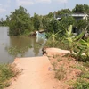 Hiện trạng sạt lở bờ sông Trà Lọt, tỉnh Tiền Giang. (Ảnh: Minh Trí/TTXVN)