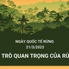 [Infographics] Ngày quốc tế về Rừng năm 2023: “Rừng và Sức khỏe”