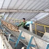 Công nhân sản xuất tại nhà máy tinh bột sắn. (Ảnh: Hoài Nam/TTXVN) 