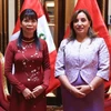Đại sứ Phạm Thị Kim Hoa và Tổng thống nước Cộng hoà Peru Dina Boluarte. (Ảnh: TTXVN phát)
