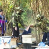 Thanh niên dân tộc thiểu số ở huyện Phong Thổ (Lai Châu) tham gia mô hình nuôi ong. (Nguồn: Plan International) 
