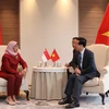 Chủ tịch nước Võ Văn Thưởng gặp Tổng thống Singapore Halimah Yacob. (Ảnh: Thống Nhất/TTXVN) 