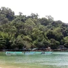 Lấn chiếm rừng mé biển khu vực Vườn Quốc gia Phú Quốc tại địa bàn ấp Gành Dầu, xã Gành Dầu (Phú Quốc) kinh doanh dịch vụ du lịch. (Ảnh: Lê Huy Hải/TTXVN) 